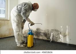 Reliable Scottsdale, AZ Mold Inspection Solutions